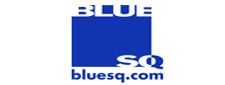 BlueSq Sportsbook Review